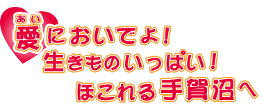 愛においでよ! 生きものいっぱい! ほこれる手賀沼へ