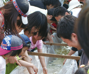 稚魚の放流